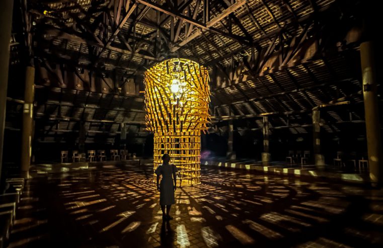  นิทรรศการ “Light of Life”  ชมไร่แม่ฟ้าหลวงมิติใหม่ยามค่ำคืน  สว่างไสวด้วย Lighting Installation จากกลุ่มศิลปินชื่อดัง