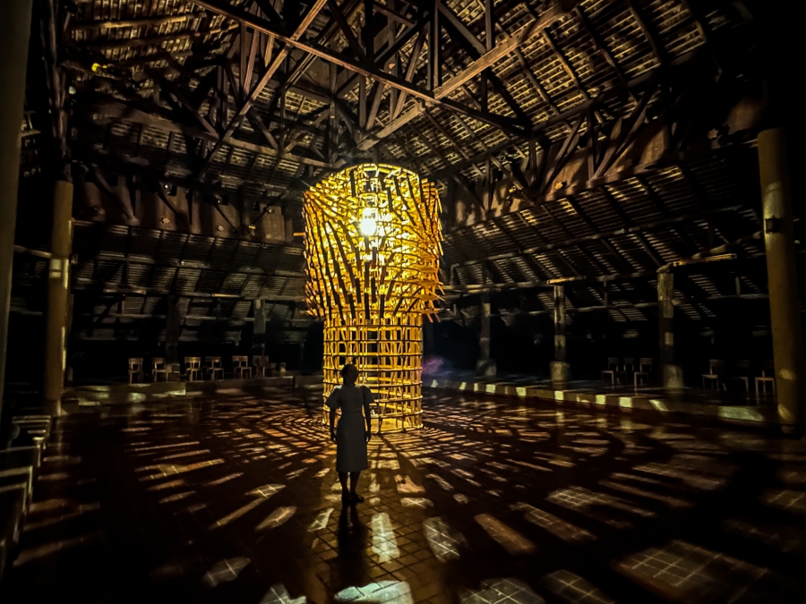  นิทรรศการ “Light of Life”  ชมไร่แม่ฟ้าหลวงมิติใหม่ยามค่ำคืน  สว่างไสวด้วย Lighting Installation จากกลุ่มศิลปินชื่อดัง