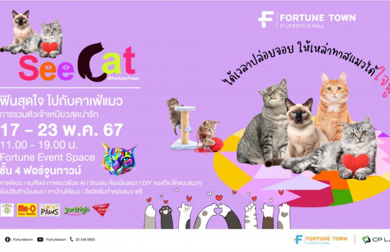 Fortune Town เปิดพื้นที่จัดกิจกรรมแห่งใหม่ Fortune Event Space ชวนทาสแมวได้ใจฟู กับงาน “See Cat @ Fortune Town”