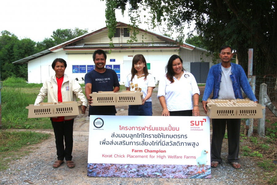 องค์กรพิทักษ์สัตว์แห่งโลกจับมือ มทส. มอบไก่โคราชกว่าหนึ่งพันตัวให้เกษตรกร ส่งเสริมการเลี้ยงไก่สวัสดิภาพสูง ภายใต้โครงการฟาร์มแชมเปี้ยน