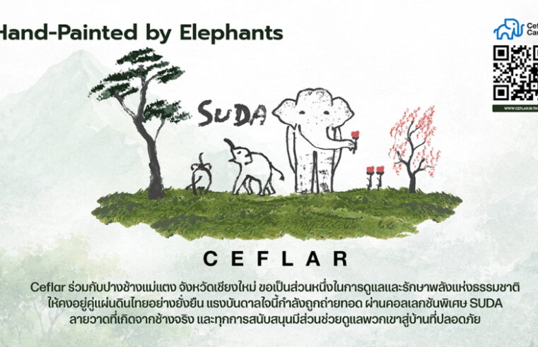 “เคฟล่า” จับมือ “ปางช้างแม่แตง” เปิดตัวคอลเลกชันพิเศษ CEFLAR x SUDA เครื่องใช้ไฟฟ้าจากศิลปะช้างไทย ร่วมสมทบทุนสร้างโรงพยาบาลช้างเชียงใหม่